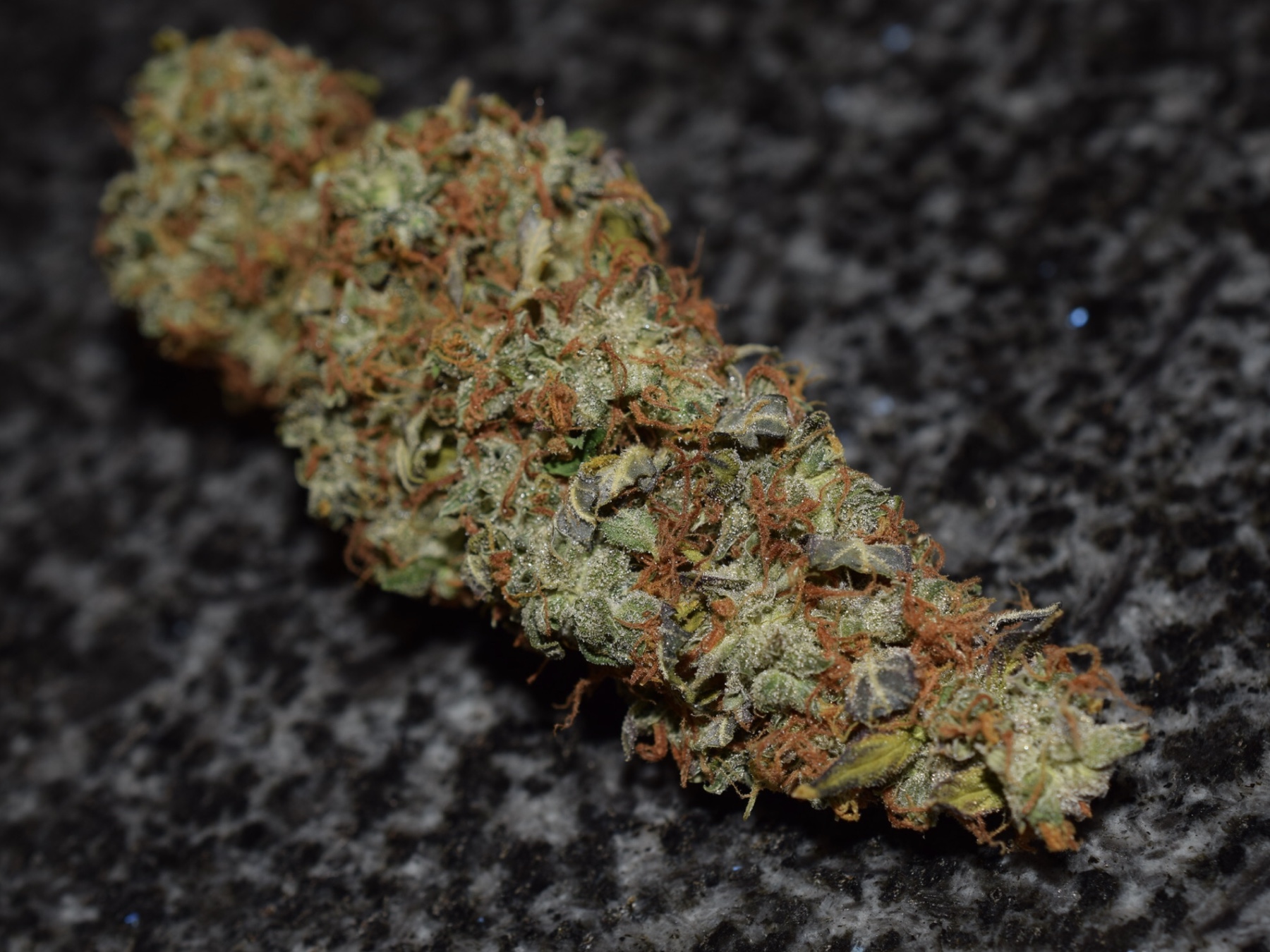 Big Bud Autoflower Bud Big Bud Autoflower Bud