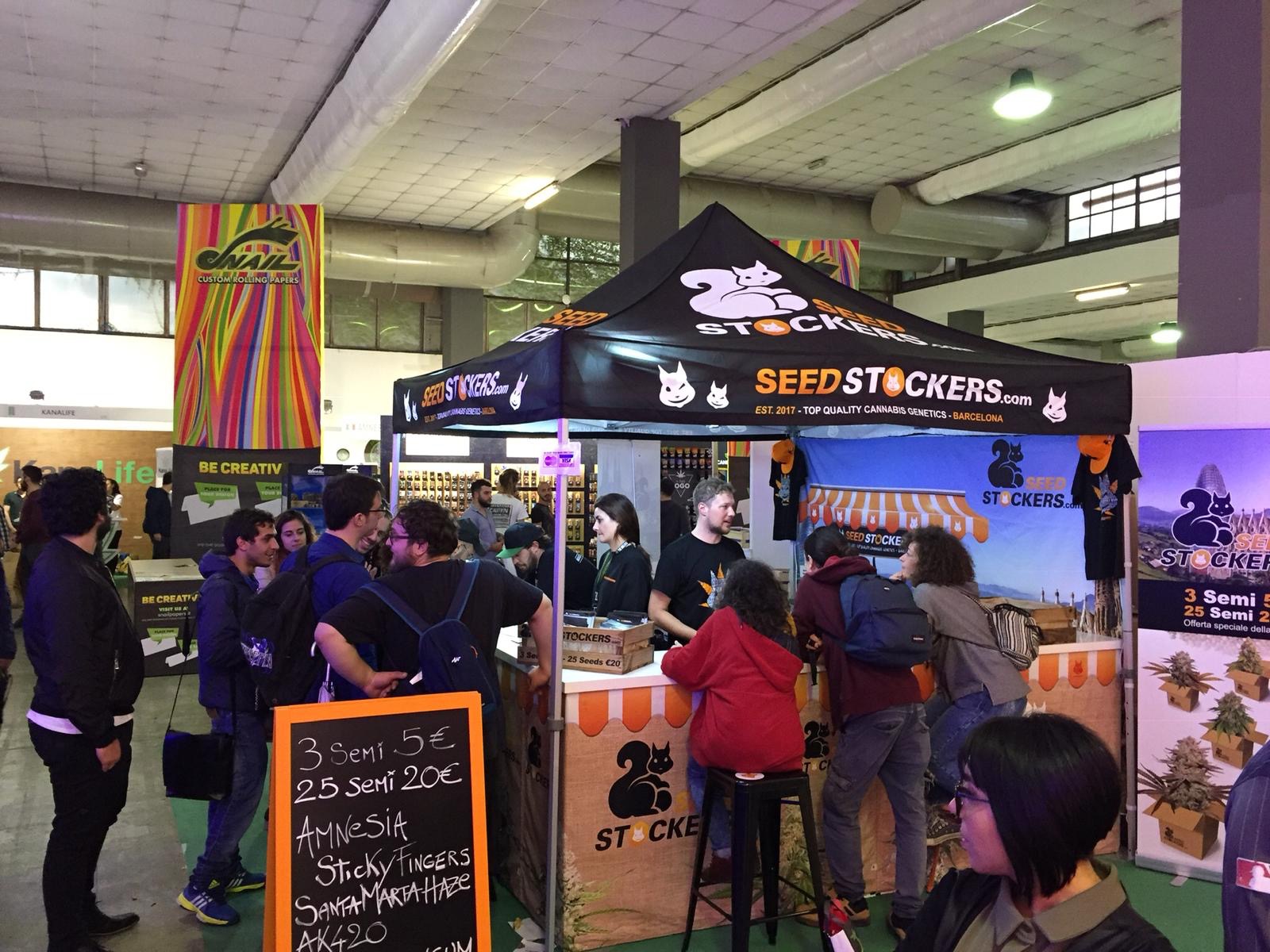 seedstockers-canapa-inmostra