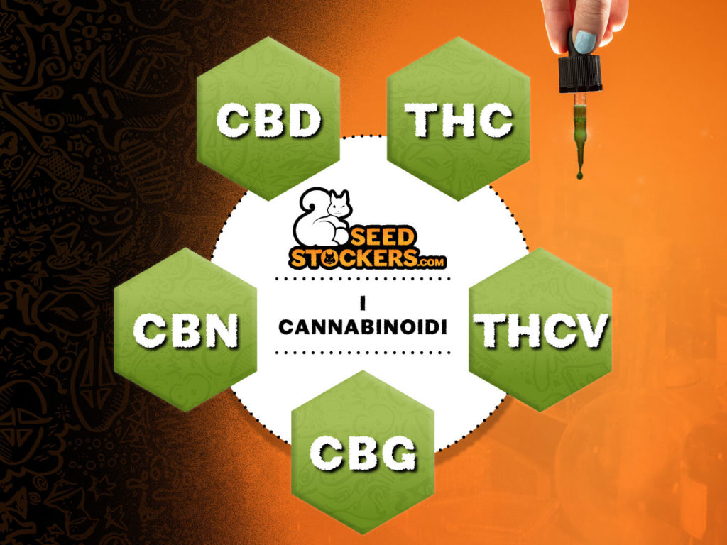 i cannabinoidi i cannabinoidi