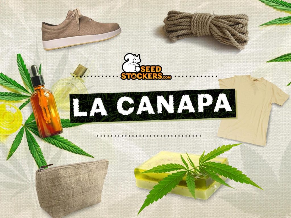 la canapa