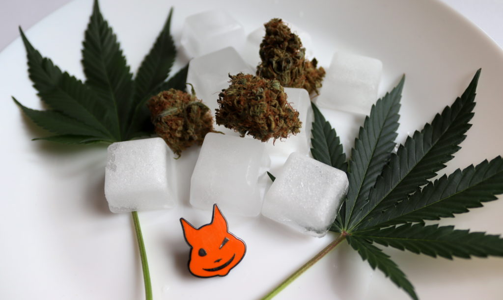 what happens if you put bud in the freezer