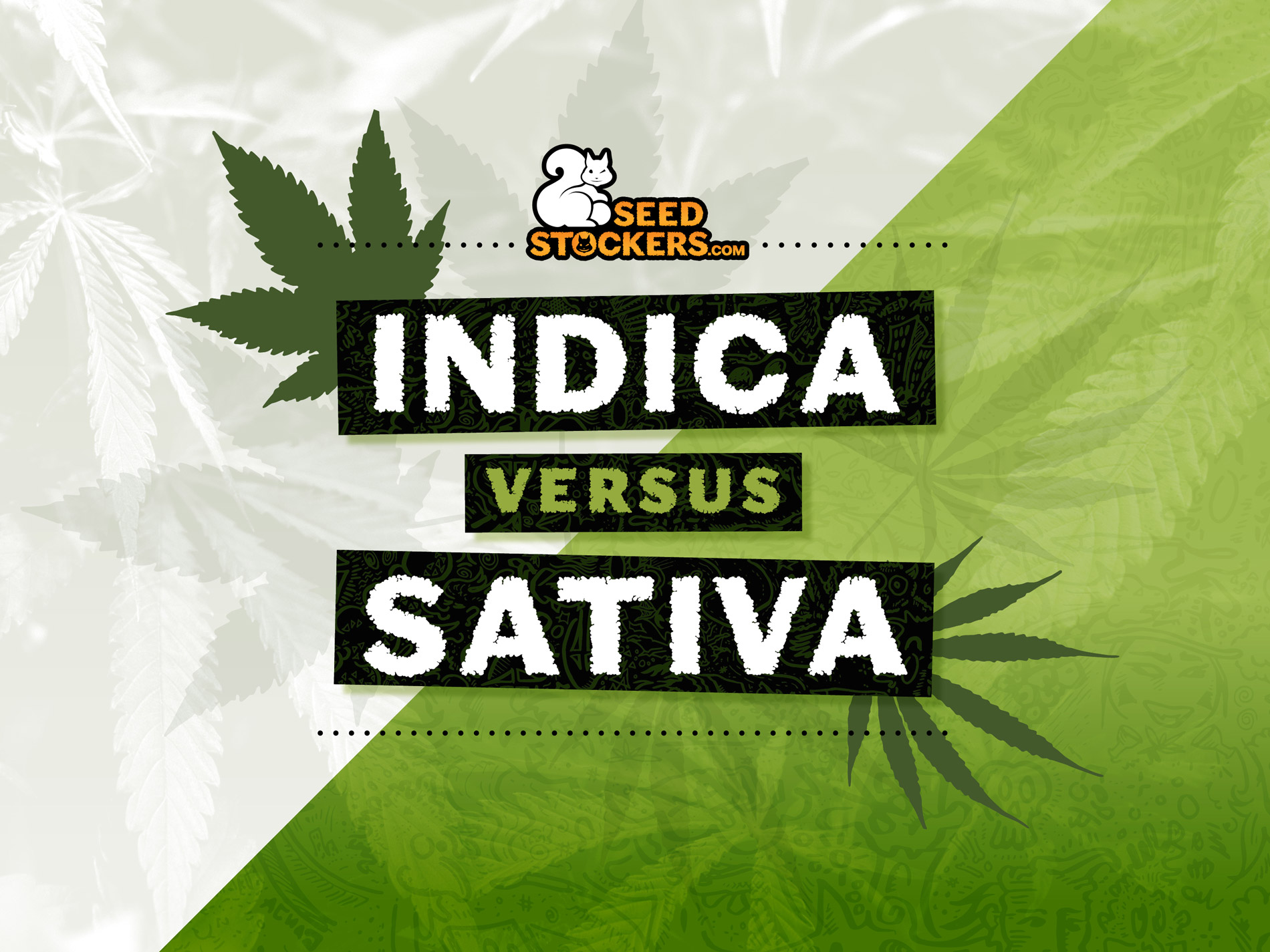 sativa vs indica