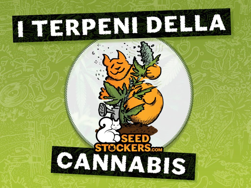 terpeni della cannabis