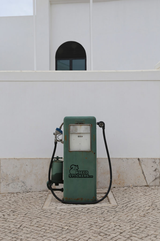 carburante di canapa