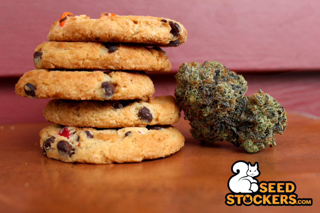 Girl Scout Cookies Buds