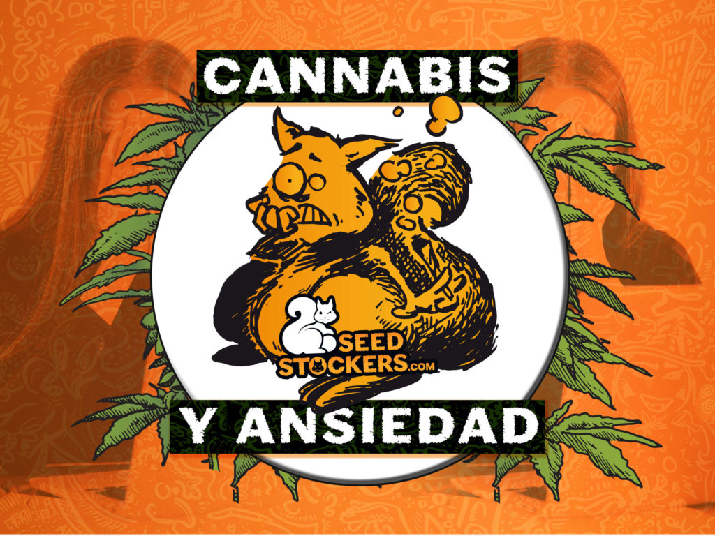cannabis y ansiedad cannabis y ansiedad