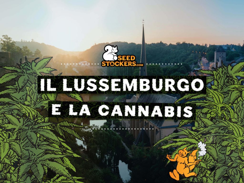 il lussemburgo e la cannabis il lussemburgo e la cannabis
