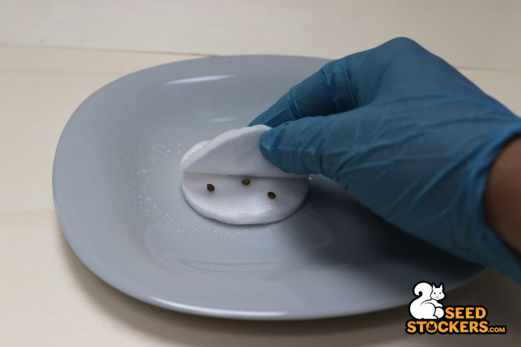 cotton-pad-method