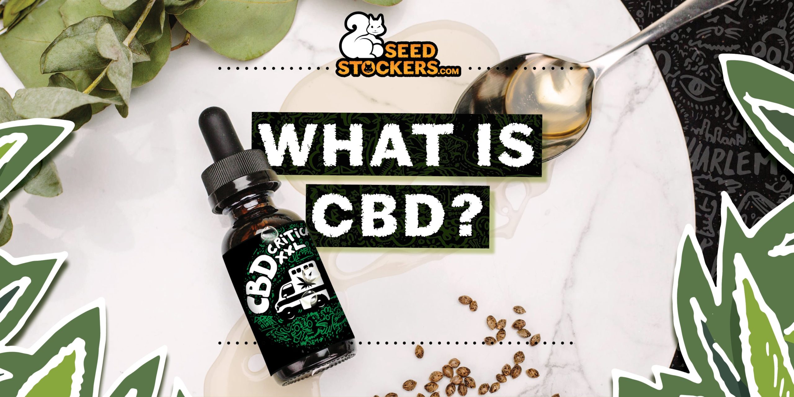 Cos’è il CBD?