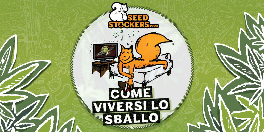 come viversi lo sballo