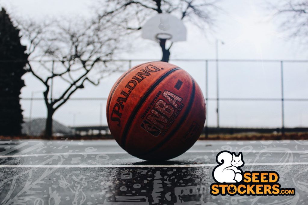 nba ball