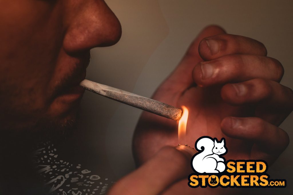 smoking weed