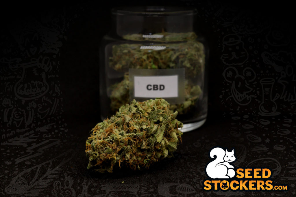 CBD CBD