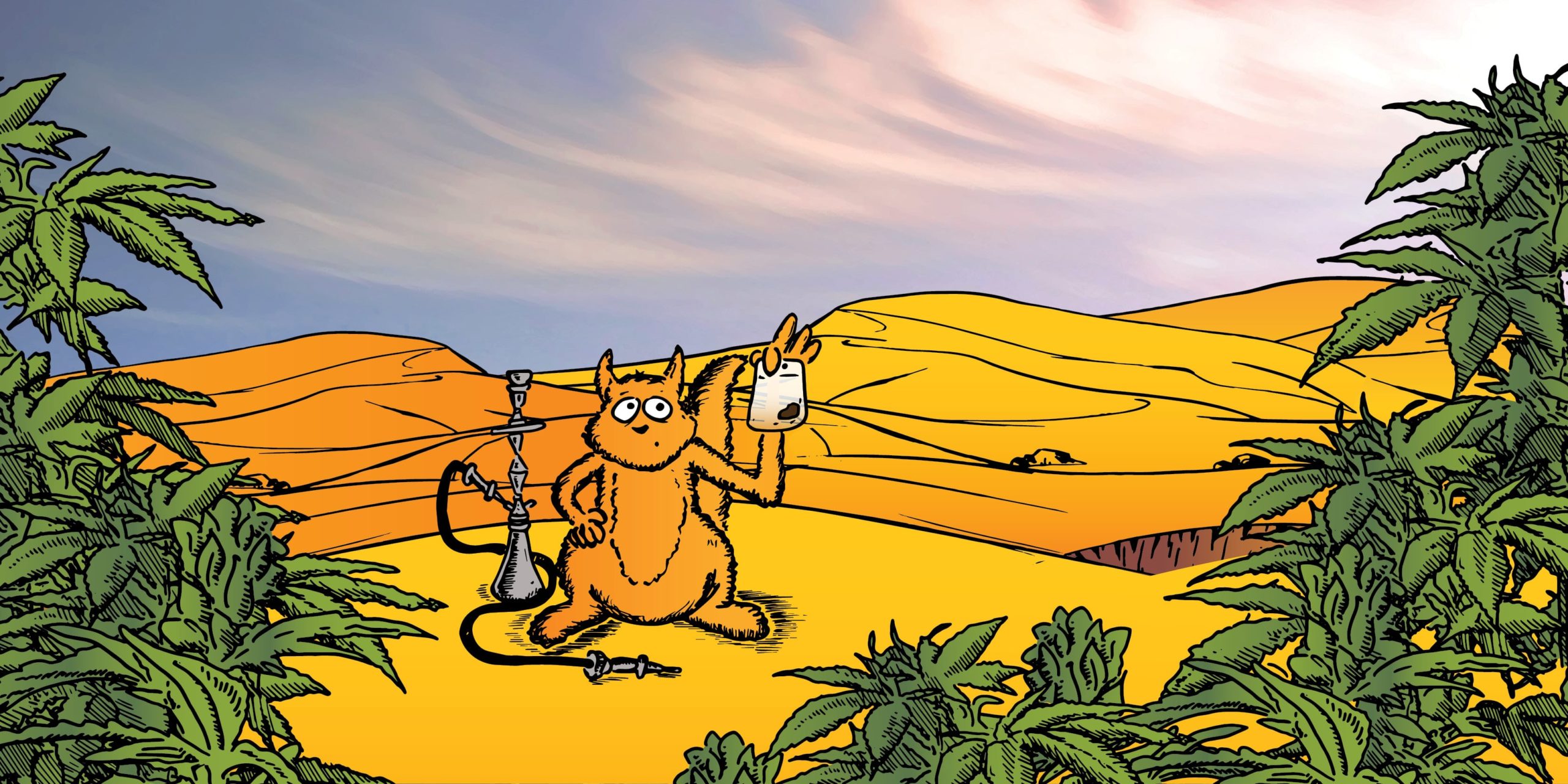 marocco per legalizzare la cannabis