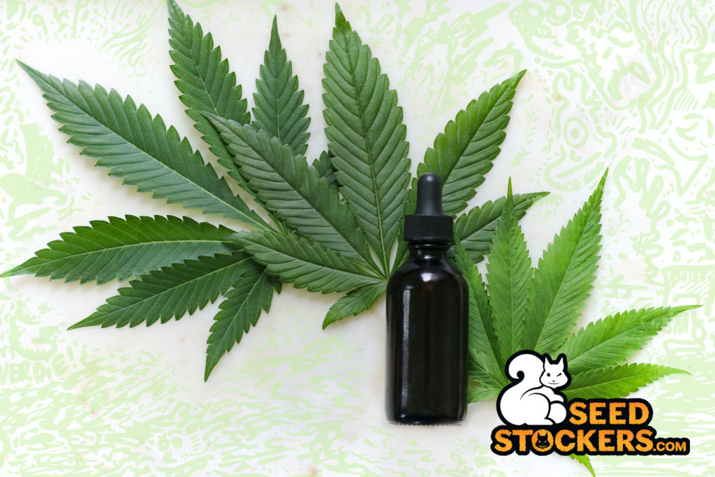 CBD CBD