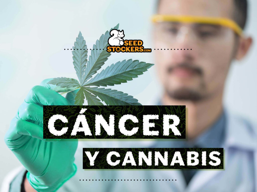 cancer y cannabis