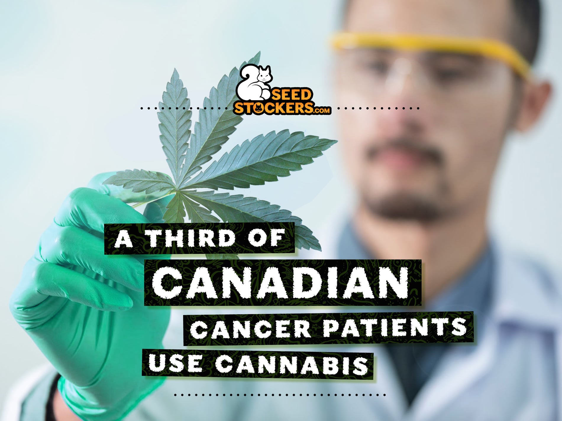Un terzo dei malati di cancro canadesi fa uso di cannabis