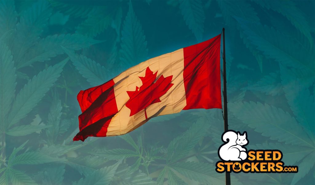 bandiera del canada