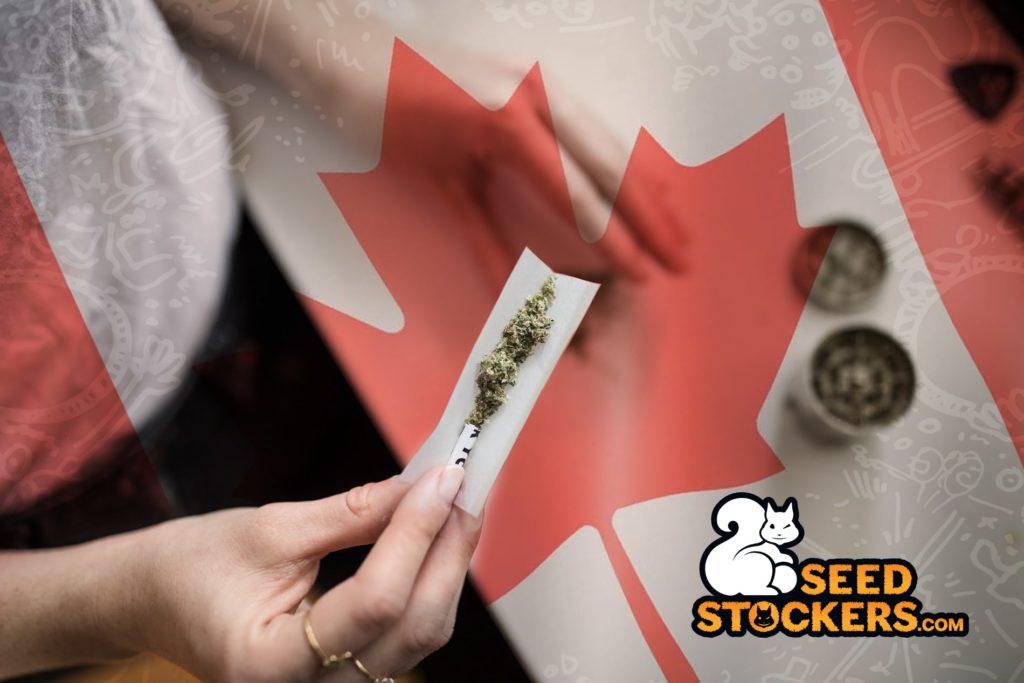 cannabis canada