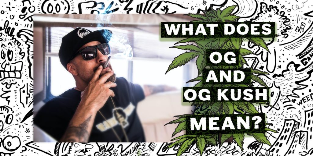 og-og-kush-mean og-og-kush-mean