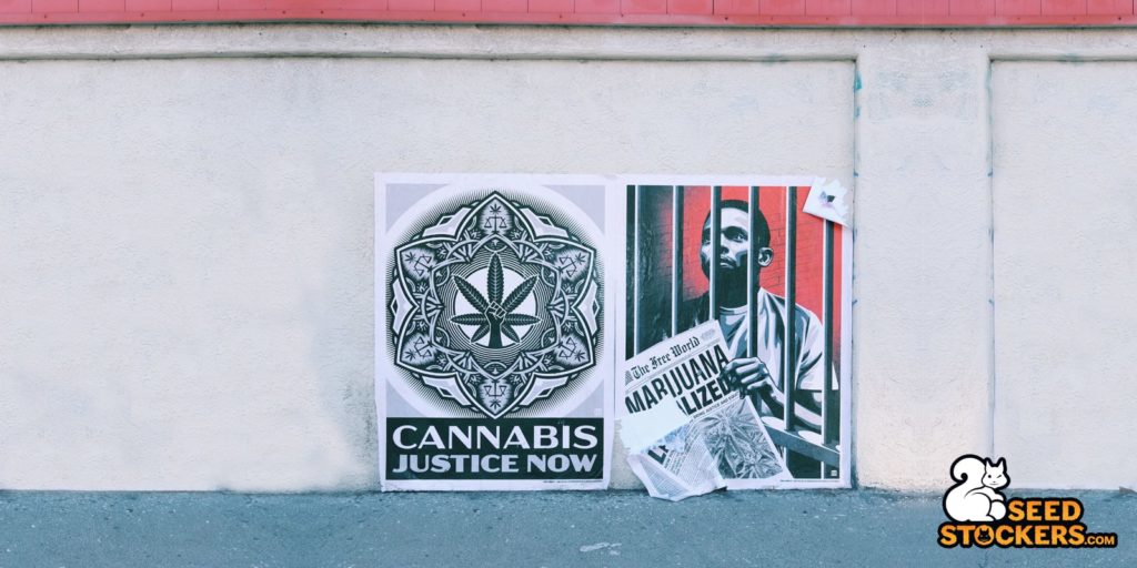 cannabis-legalizzazione-portogallo