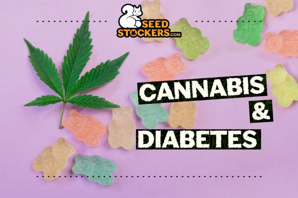 cannabis-diabete cannabis-diabete