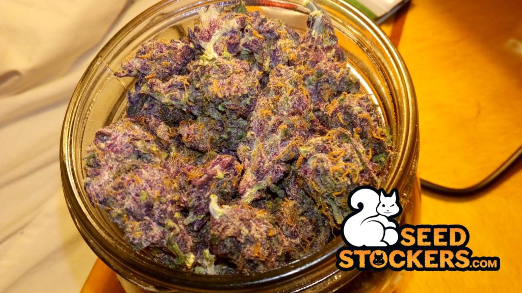 mangiare marijuana mangiare marijuana