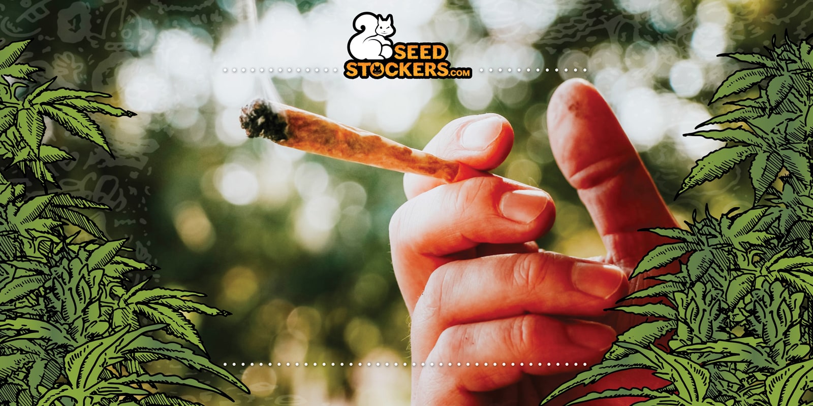 Quali sono gli effetti della marijuana?