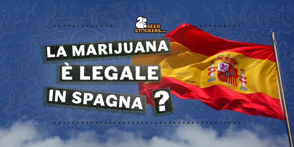 la marijuana e legale in spagna