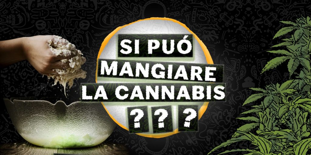 si puo mangiare la cannabis