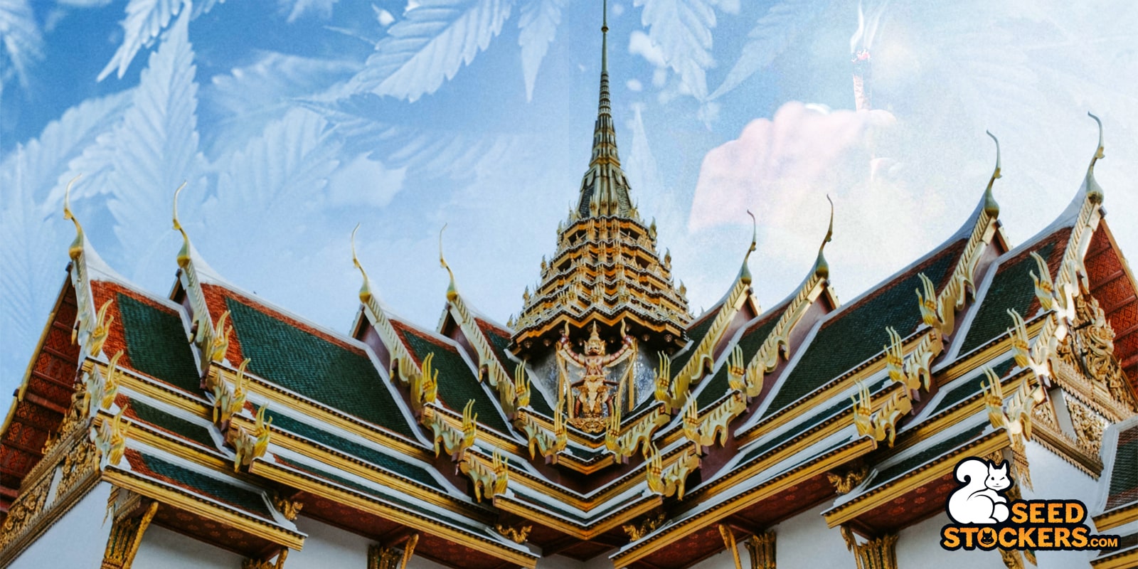Le varietà di cannabis della Tailandia saranno registrate come patrimonio nazionale