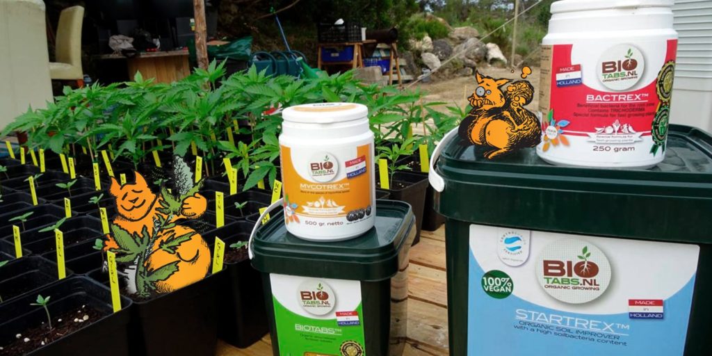 biotabs products