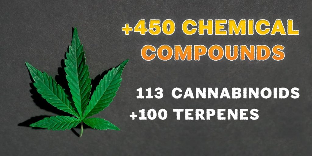 cannabinoids and terpenes