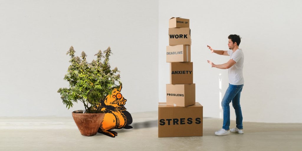 coltivare cannabis indoor