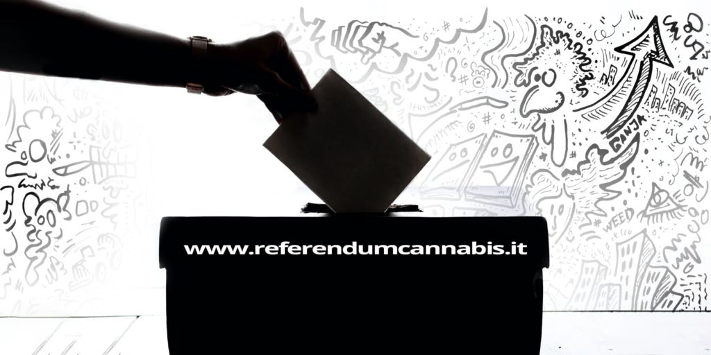 referendum cannabis