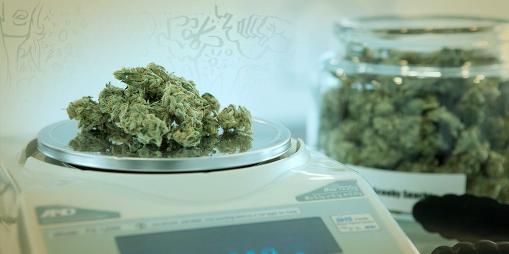 cannabis svizzera