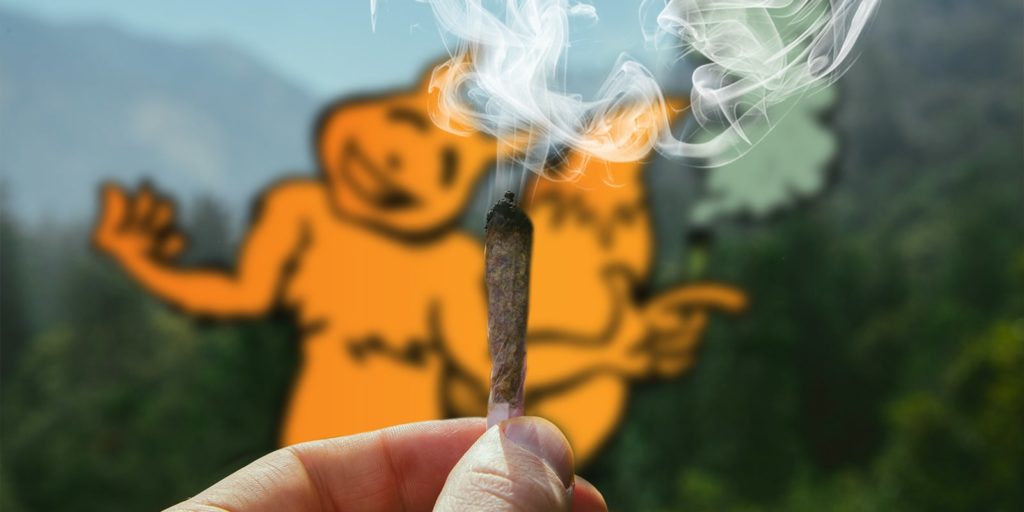 Zurigo da il via ad un progetto con la cannabis ad uso ricreativo