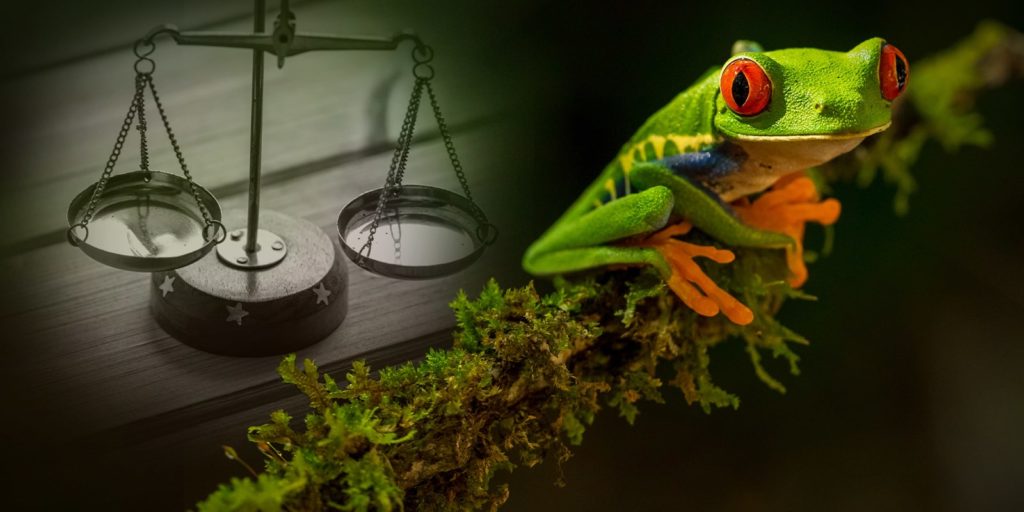 La cannabis è legale in Costa Rica?