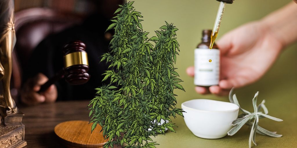 legge della cannabis medica israeliana