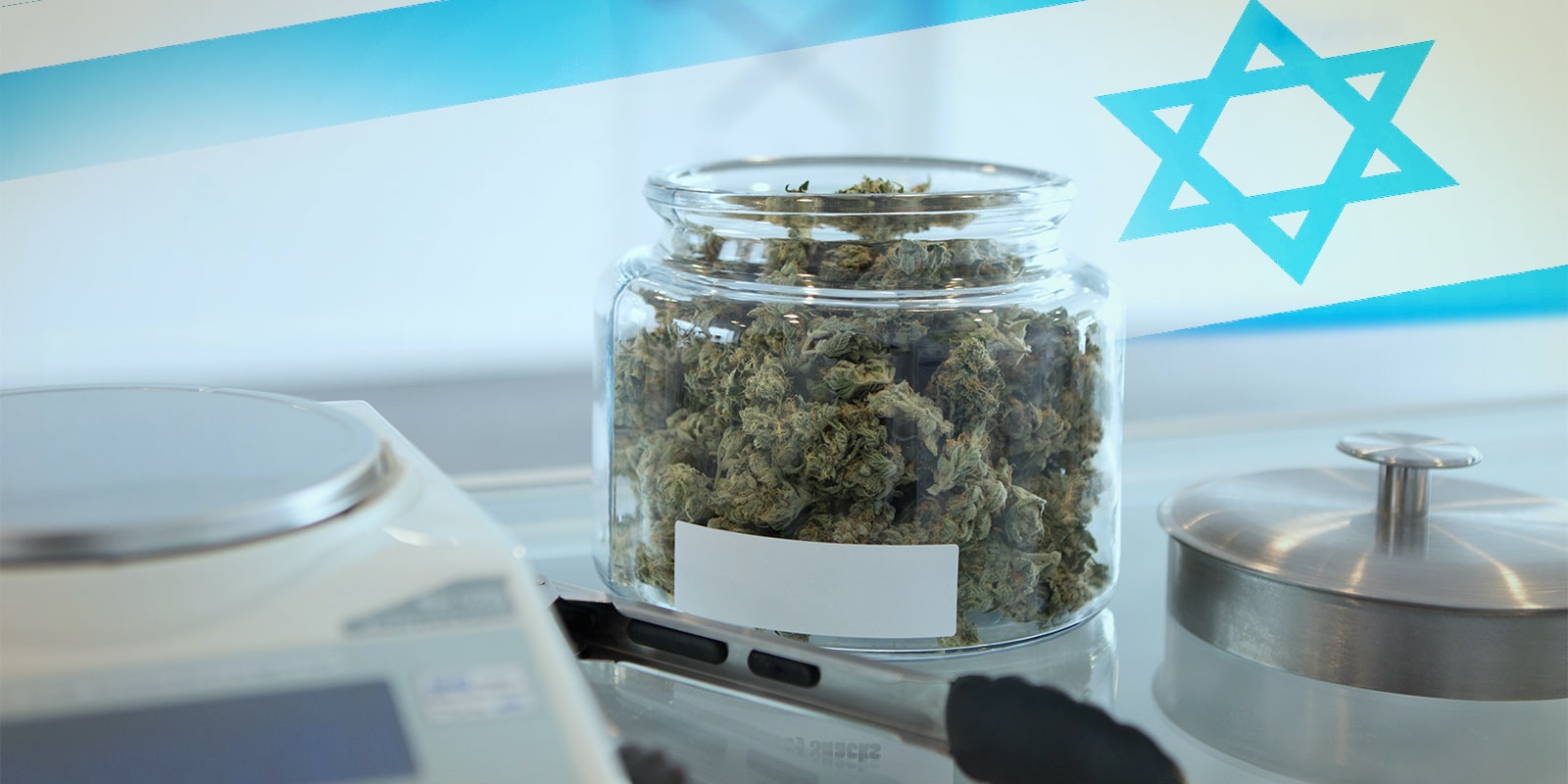 Il Parlamento israeliano approva un disegno di legge preliminare sulla cannabis medica casalinga