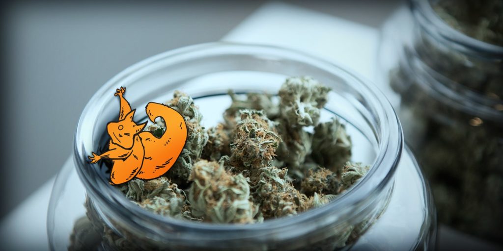 cannabis medica germania