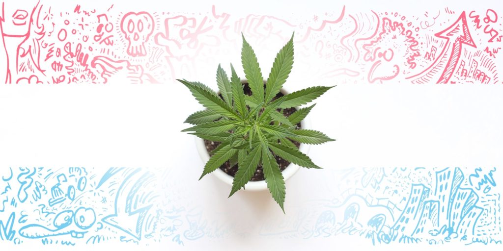 Una misura contro il mercato illegale de i crimini per droga