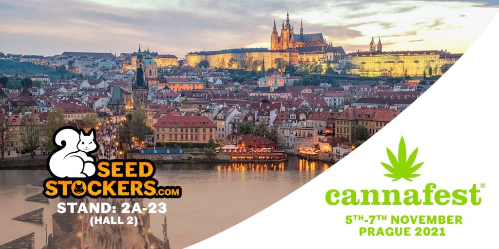Prague_cannafest_2021