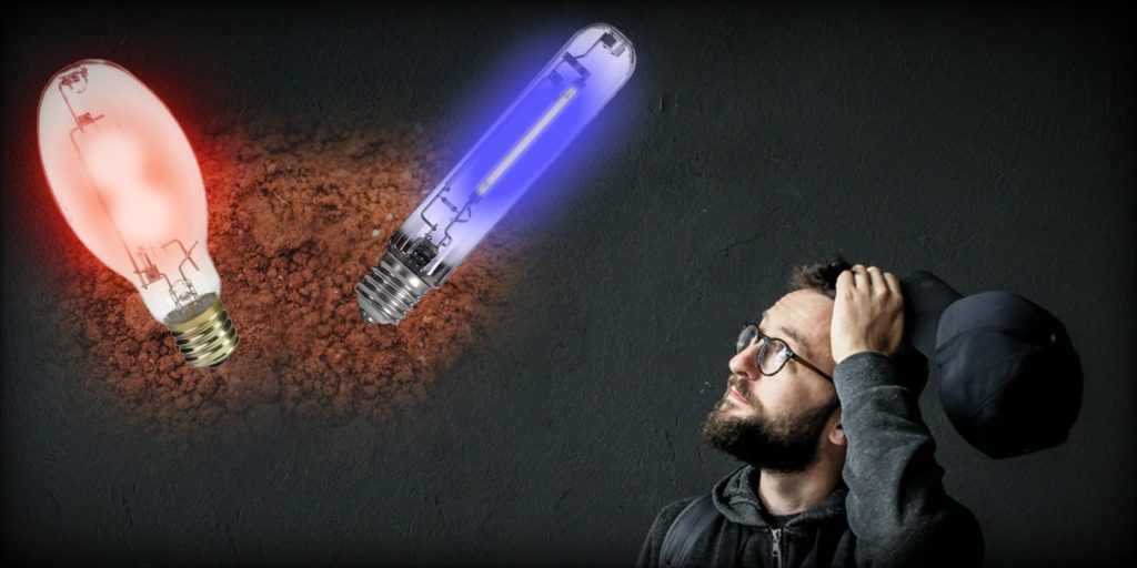 lightning terpenes