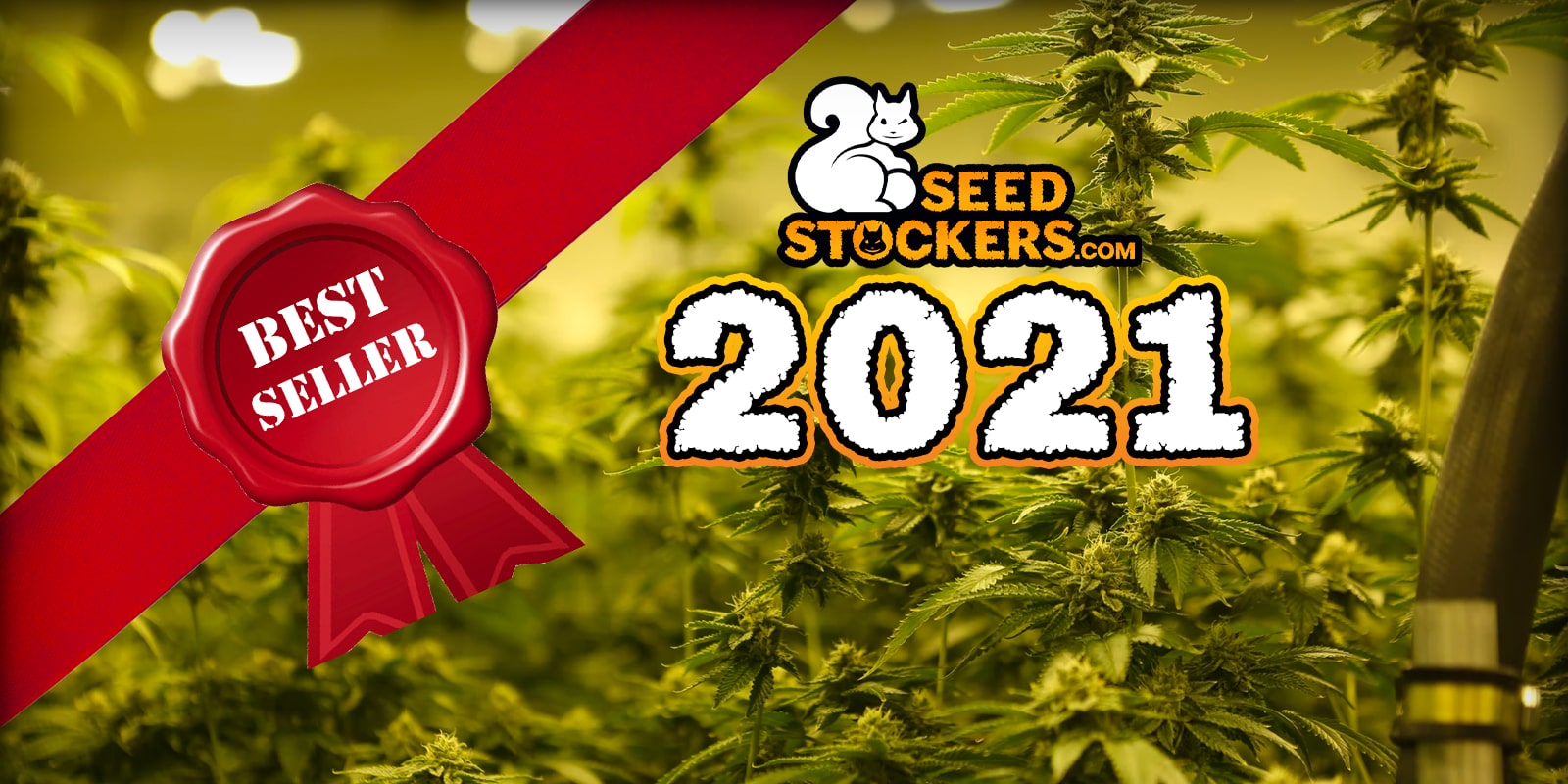 Le varietà migliori di Seedstockers del 2021: le genetiche di cannabis più vendute
