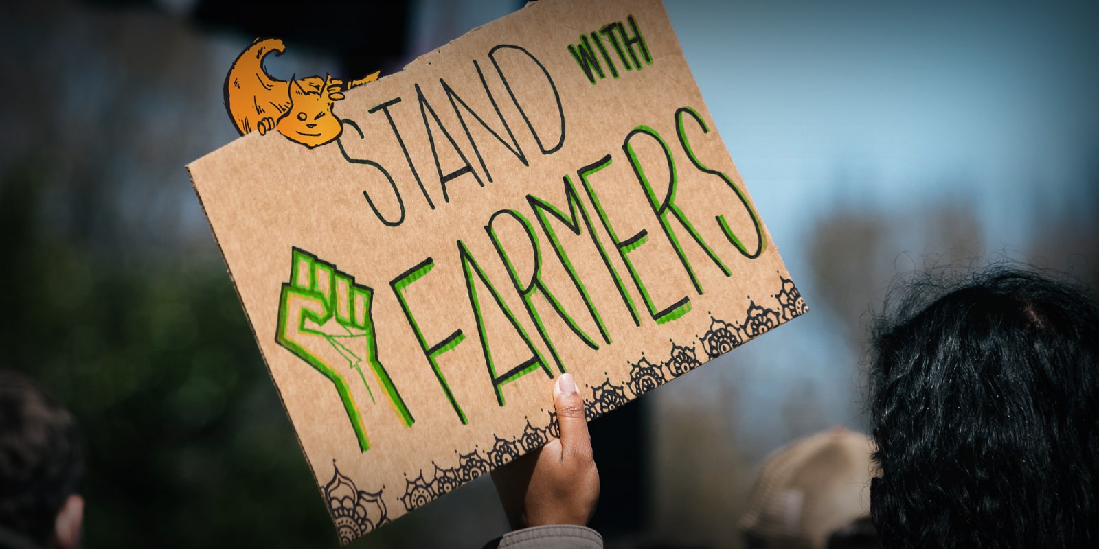L’UE riporta allo 0,3% il livello di THC autorizzato sulla canapa agricola