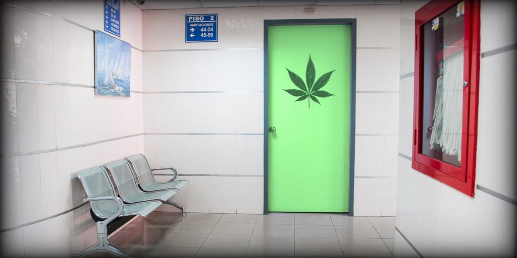 cannabis covid