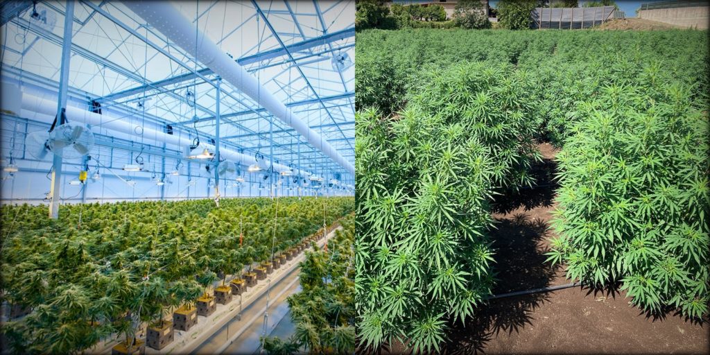 Indoor_vs_outdoor