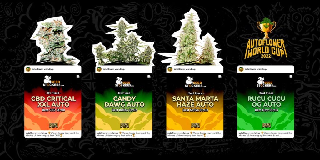 Autoflower World Cup