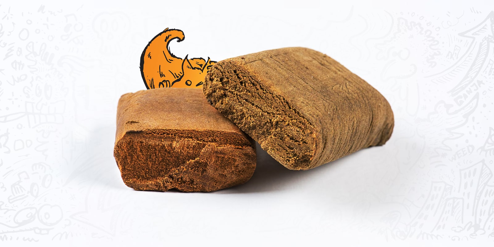 Tutto ciò che dovete sapere sull’hashish